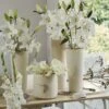 Collection Bulbes Pour Bouquets Modernes Blancs 1 Collection Bulbes Pour Bouquets Modernes Blancs -Fleurs & Plantes Soldes Boutique Collection bulbes pour bouquets modernes blancs 18974 1