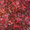 Coprosma Pacific Sunset -Fleurs & Plantes Soldes Boutique Coprosma repens Pacific Sunset 88790 1
