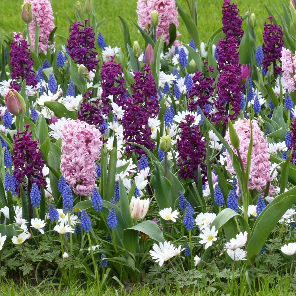 Collection Balade Parfumée 3 Collection Balade Parfumée